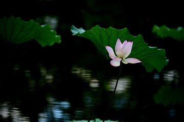 A73F1ABD-38DF-41AD-83B6-8FD7331281E8/L0/001