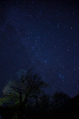 DSC_2487_1
