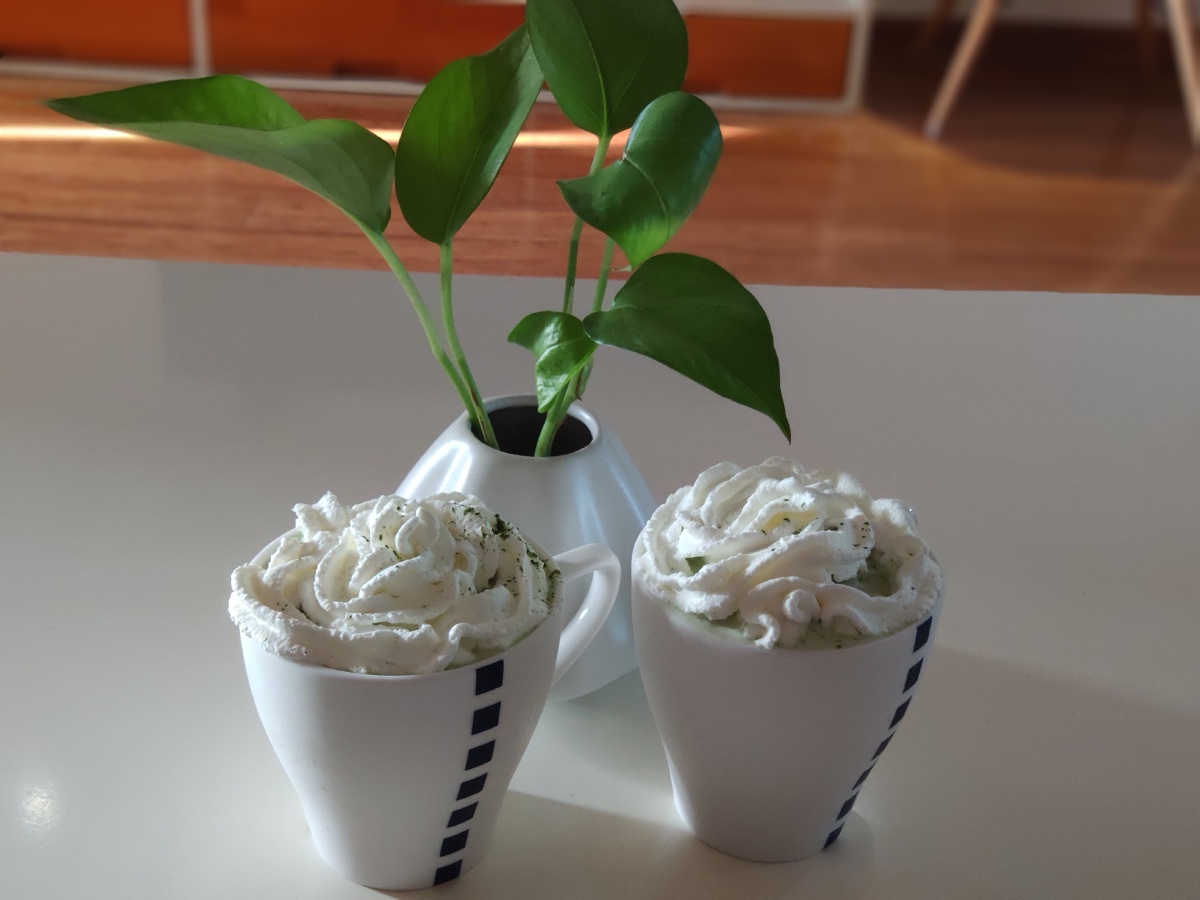 饮料瓶做花盆图案
