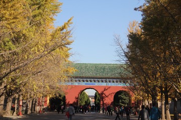 乱，生活
