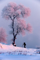 雪中嬉戏-13