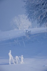 雪中嬉戏