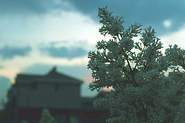 IMG_3060_