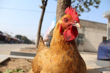IMG_7486.jpg