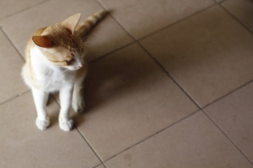 照片 039.jpg