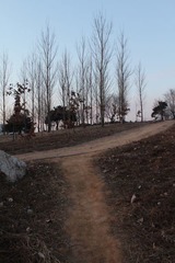 路