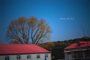 IMG_0841__