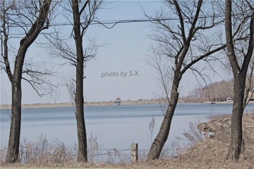 IMG_0874_