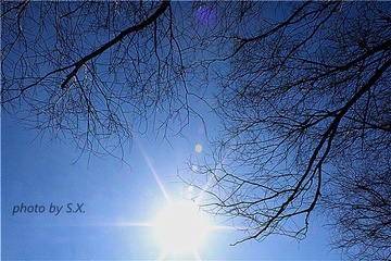IMG_0885_