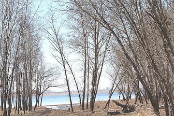 IMG_0898_