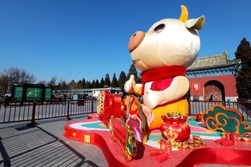 无名小花