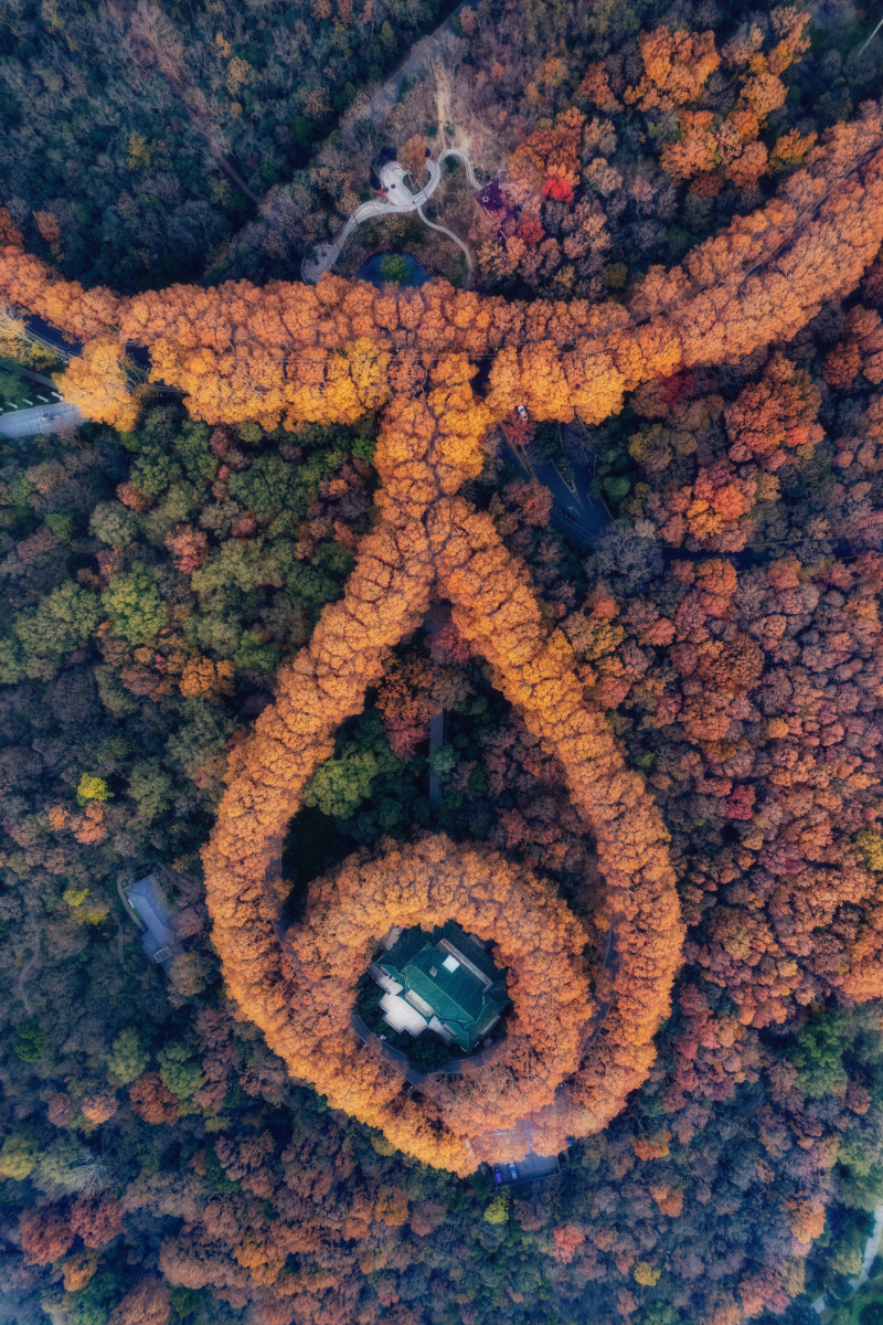 南京美龄宫秋色