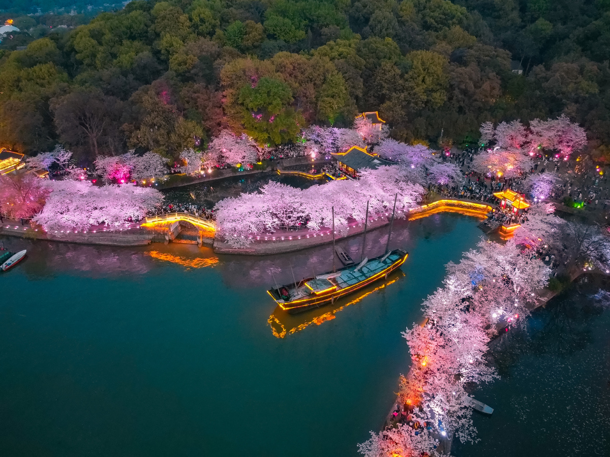 无锡太湖鼋头渚 长春桥春色 樱花季onedayfoto关注