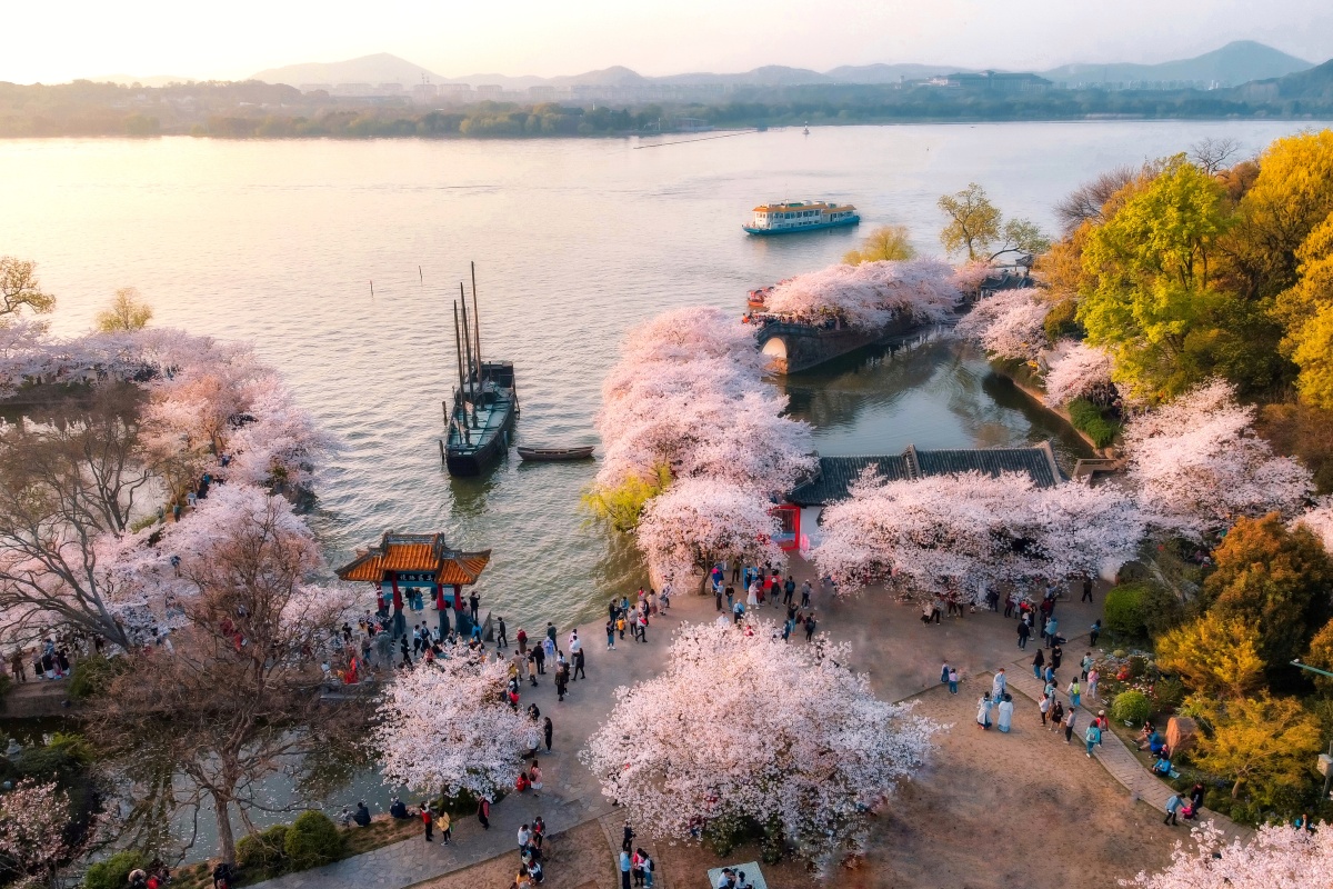 太湖春景图无锡鼋头渚长春桥樱花航拍