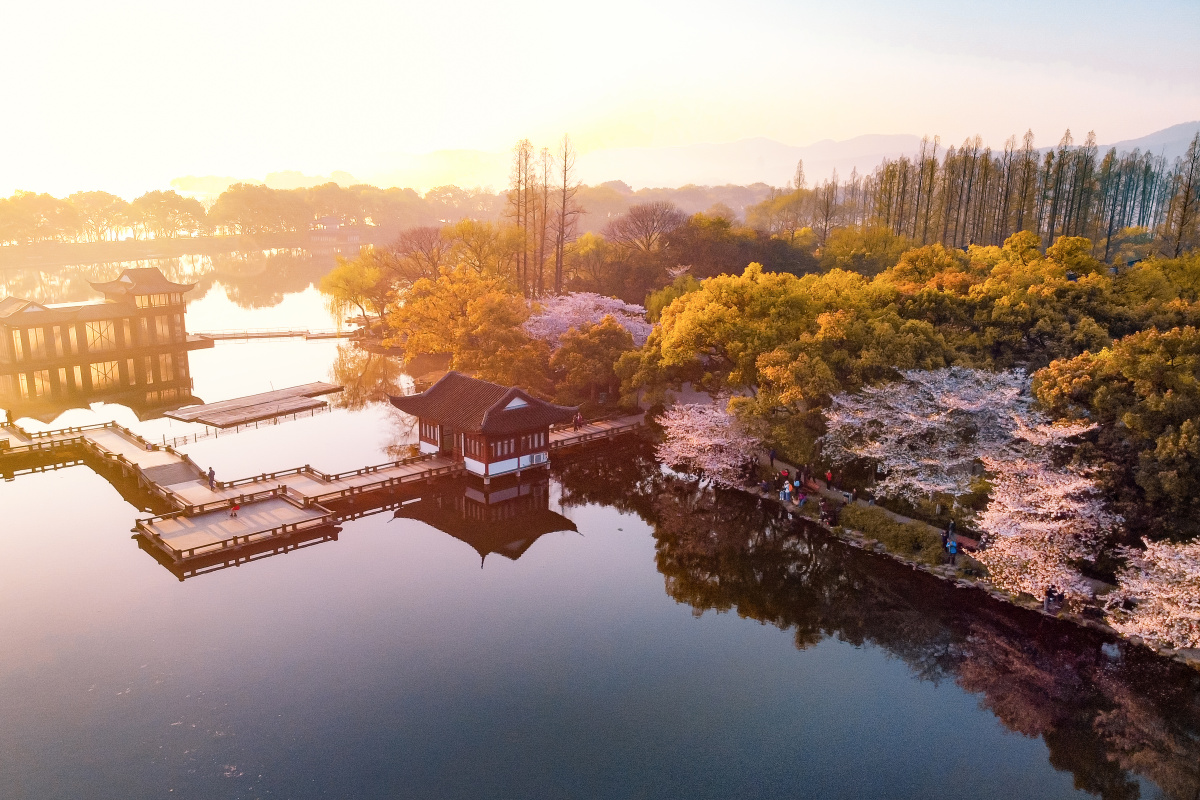 杭州西湖 曲院风荷 樱花日出 - onedayfoto - 图虫