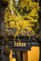 D54E8103-F3BC-4AF6-B34E-F36BD7449431/L0/001