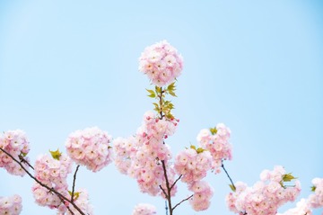 5DB9D4B2-A30F-4A66-894E-A5154A6F444B/L0/001
