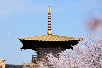 DSC_3045-编辑