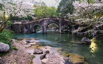 DSC_2468-编辑