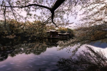 DSC_2920-编辑