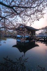 DSC_2516-编辑