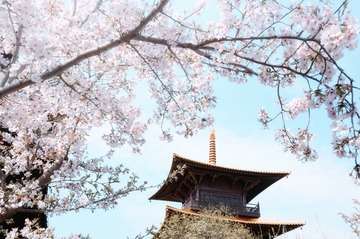 DSC_3010-编辑