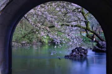 DSC_2638-编辑
