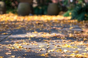 DSC_4535-编辑