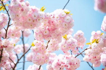 615D1163-729D-482D-92D8-A7FBFBC8657F/L0/001