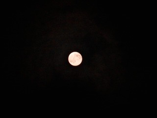 1330102