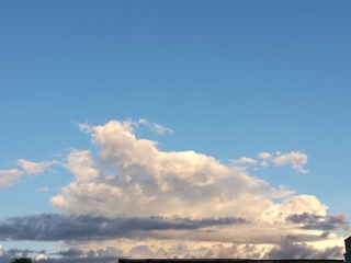 293542