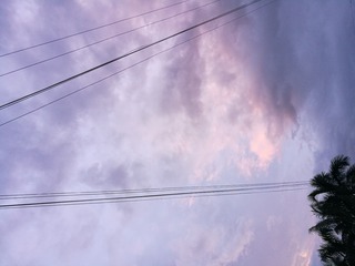 241019