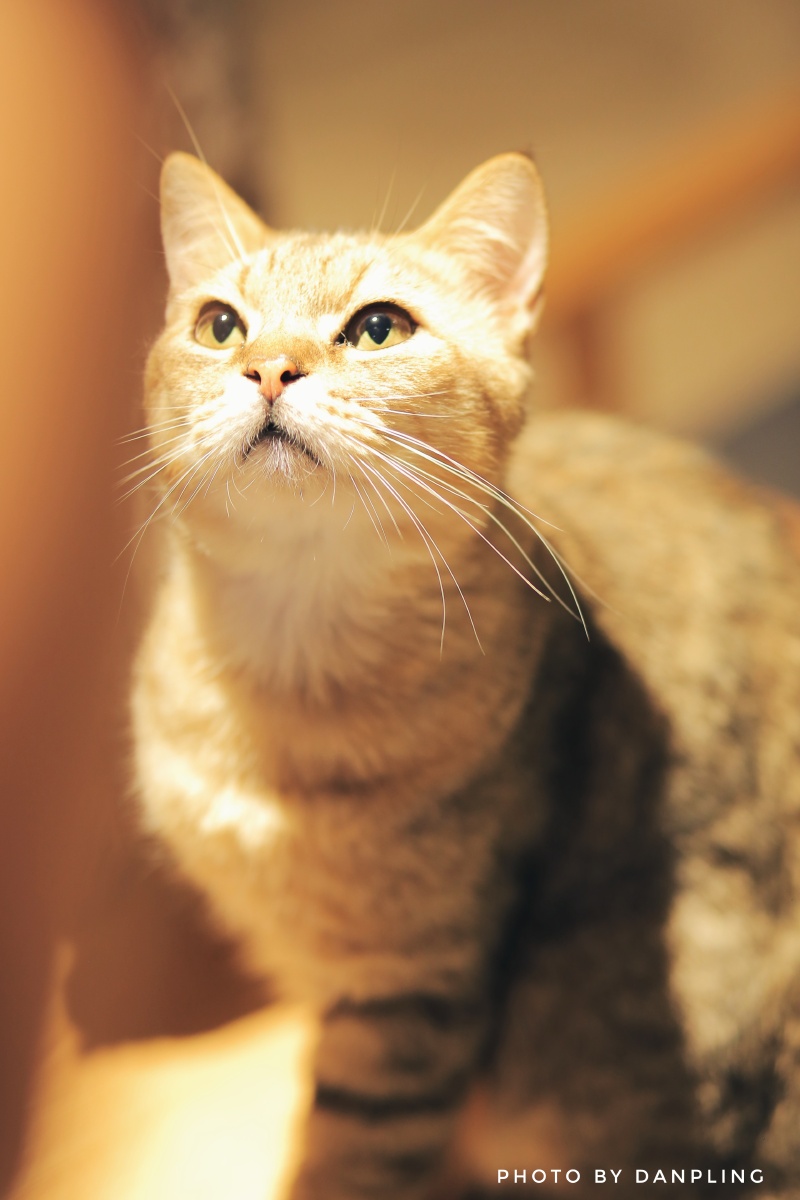 800_1200竖版 竖屏