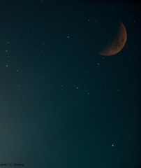 2117194
