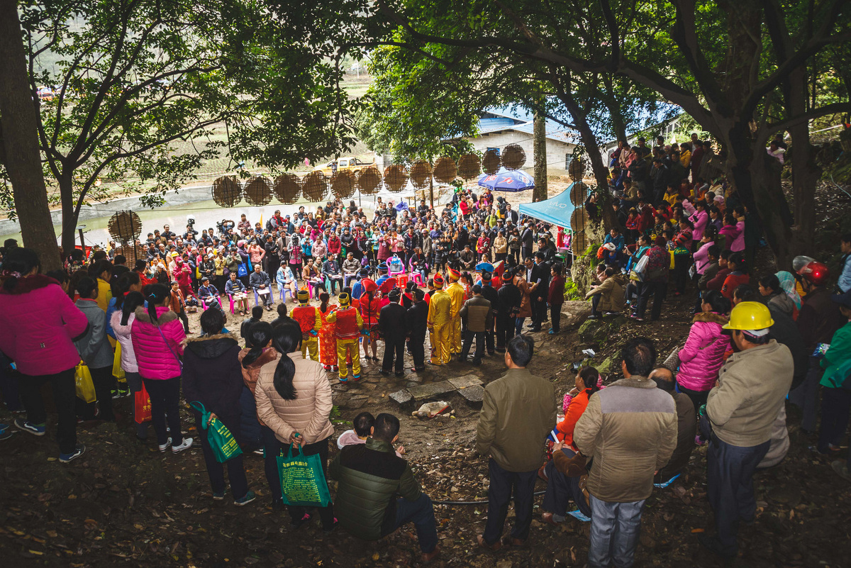 田东思林 仰岩歌圩