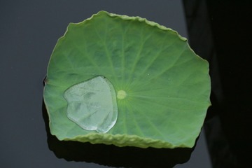 57603