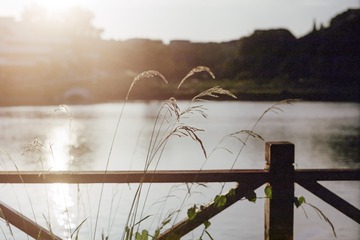 2009760