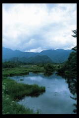 2009807
