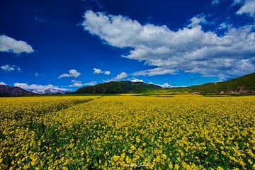 _DSC2175