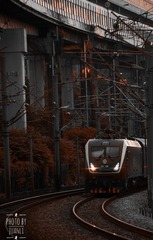 90A4CC67-E9A0-4E41-A320-0AB0BFECE52C/L0/001