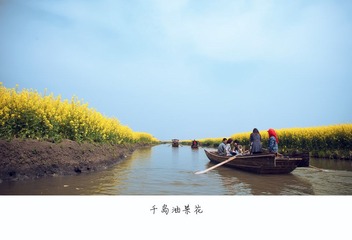 千岛油菜花BB.jpg