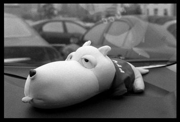 ILFORD PAN 100 31.jpg