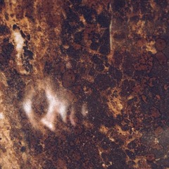 照片-2