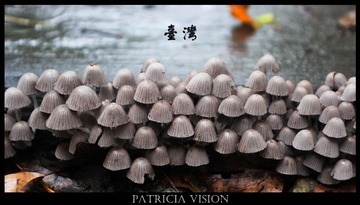 IMG_3433_