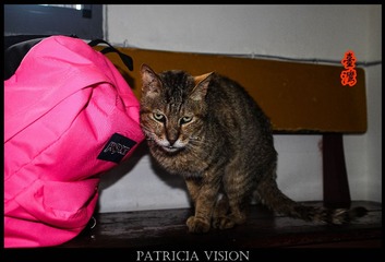 IMG_3871_