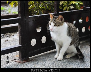 IMG_3886_