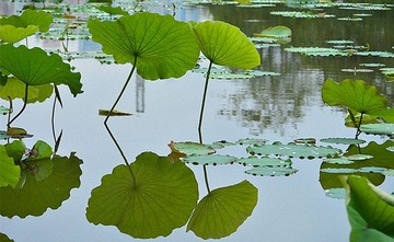 DSC_0623_