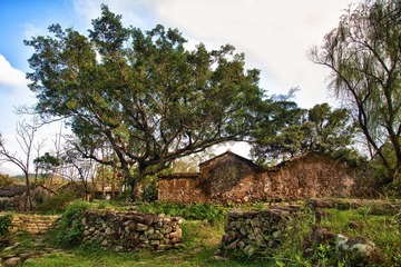 IMG_9055_HDR.jpg