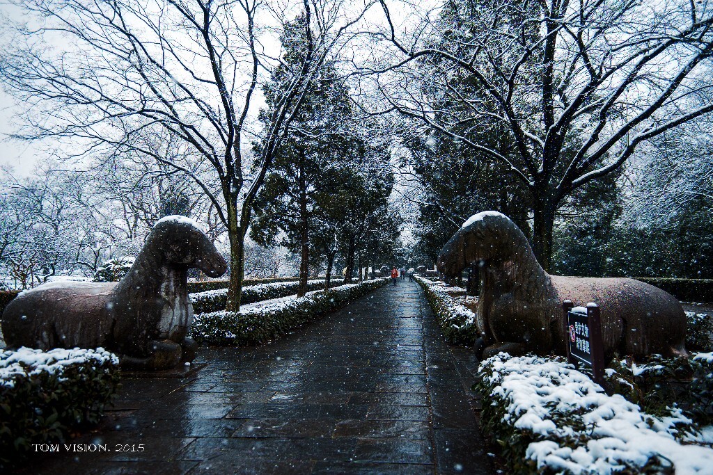 一场短暂的大雪，终结了许久未摄影的状态。白色的南京，白色的石像路，第一次看到，纪念一下。