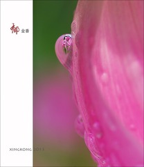 114086